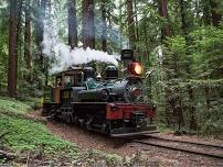 Roaring Camp Railroads: Redwood Forest Steam Train