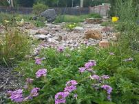 Native Gardening Together at Kansas Zen Center