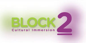 Cultural Immersion Training (Block 2) - November 2024