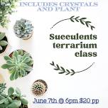 Succulent terrarium class