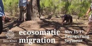 Ecosomatic Migration. A weekend of Embodied Nature Practice