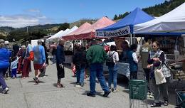 2024 Pacifica Coastside Farmers Market Is Open Every Wednesday