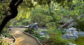 Storrier Stearns Japanese Garden Opens for Visit