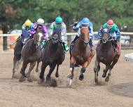 Live Racing at Canterbury Park