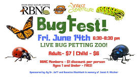 Bug Fest! 2024