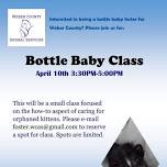 Kitten Bottle Baby Class