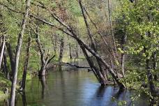 Riverwalk at the Nashua River