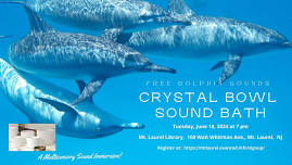 FREE Dolphin Sounds Crystal Bowl Sound Bath - A Multisensory Immersion