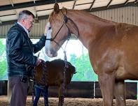 Ian Bruce Horsemanship Two Day Clinic