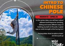 Chinese Pole Class at Wise Fool New Mexico