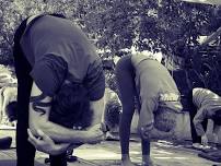 Outdoor Yoga in Topanga