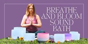 Breathe and Bloom: Sound Bath in the Lavender Field