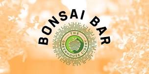 Bonsai Bar @ Greenhouse Cidery! Dwarf Umbrella Species