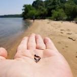 Fossil Find Kayak