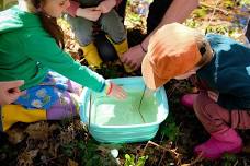 Vernal Pool Exploration