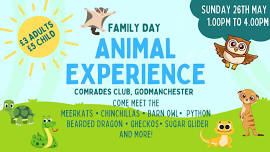 family fun day