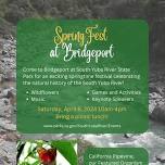 Springfest at Bridgeport