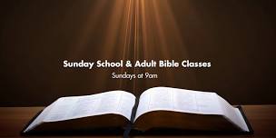 Sunday School and Adult Bible Classes — Our Savior Lutheran Church Winchester, VA