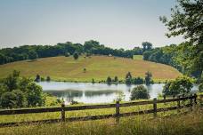 Live Music at Hardywood West Creek