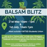 Balsam blitz – Lampeter