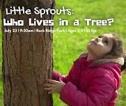 Little Sprouts: Who Lives in a Tree?