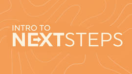 Intro to Next Steps