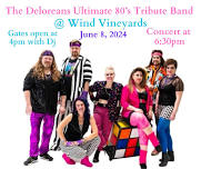 The Deloreans 80’s Band at Wind Vineyards