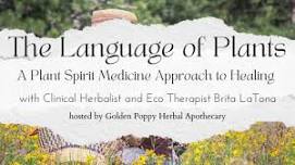 The Language of Plants: A Plant Spirit Medicine Approach to Healing