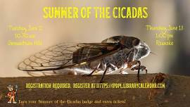 Summer of the Cicadas