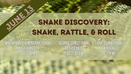 Snake Discovery | Rothschild