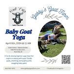 Baby Goat Yoga In The Garden