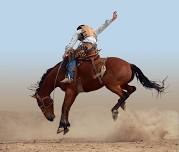 Yuma Silver Spur Rodeo