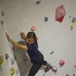 Indoor Bouldering — Wild Dunedin