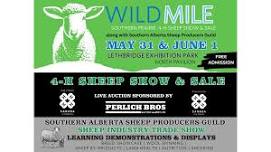 Wild Mile Southern Prairie 4-H Sheep Show & Sale