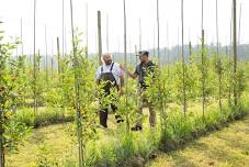 Appleflats Guided Orchard Tours