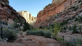 UBERFest: Capitol Reef 2024 – FULL