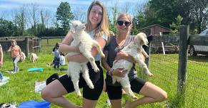 Goat Yoga - Quakertown PA!