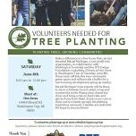 Tree Planting in Washington Twp