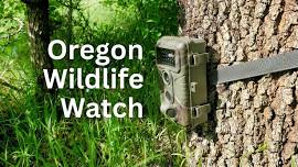 Oregon Wildlife Watch with the High Desert Museum