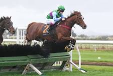 Egmont Jumps Raceday