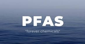 PFAS, the Forever Chemicals: Sources and Ecotoxicology in Aquatic Food Webs