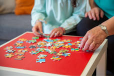 Puzzle Palooza