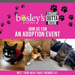 Adoption Event | Bosley's in Delta