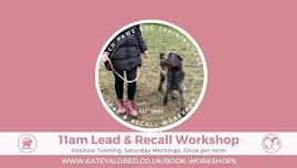 Loose Lead & Recall Workshop