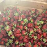 A Berry Good Time at the Farmers Market