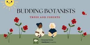 Budding Botanists - July