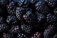 Blackberry Festival - Mortimer Farms