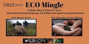 Eco Mingle