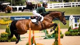 Weekly Show Jumping Grand Prix in Traverse City