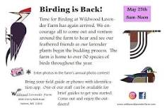 Birding at Wildwood Lavender Farm